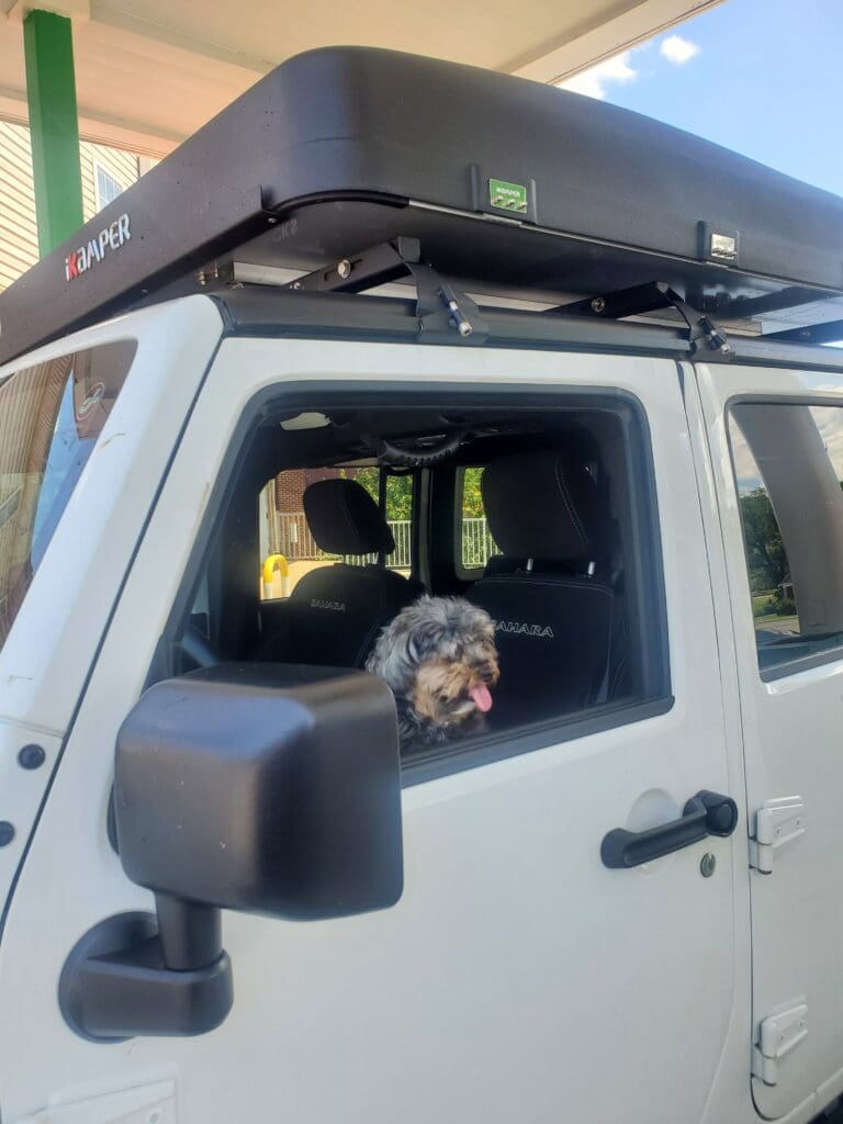 A white jeep wrangler with a closed iKamper on top and a dog at the window