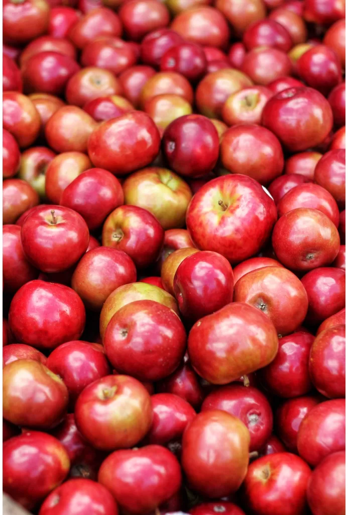 A pile of red apples