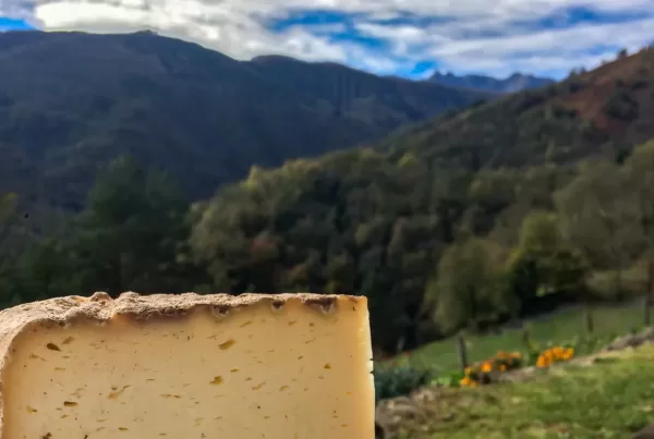 A chunk of cheese in the Mountains - best cheeses for backpacking