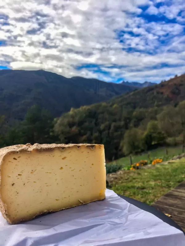 A chunk of cheese in the Mountains - best cheeses for backpacking